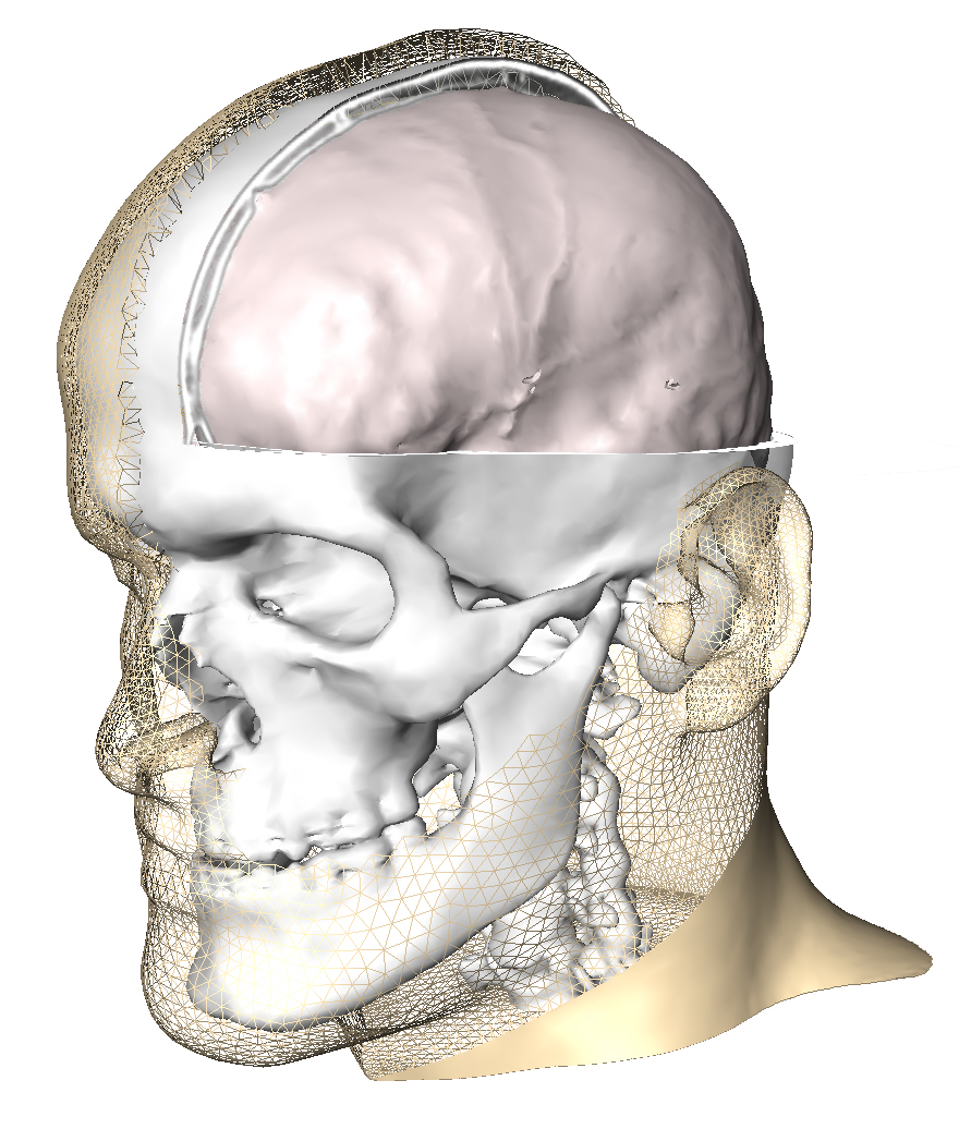 virtual Patients